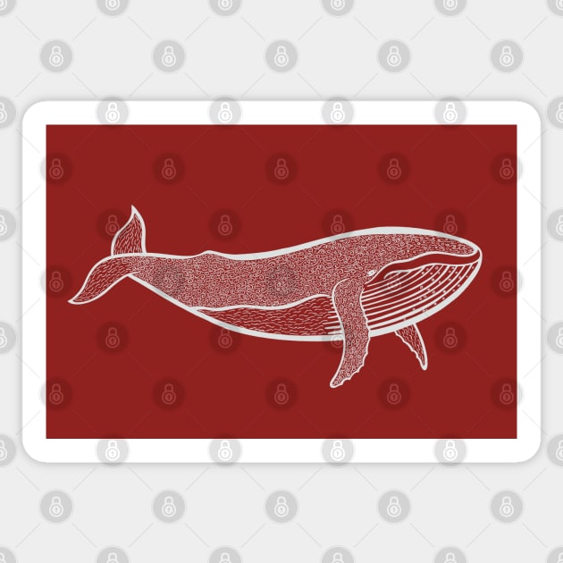 Humpback Whale - detailed marine animal drawing Sticker by Green Paladin